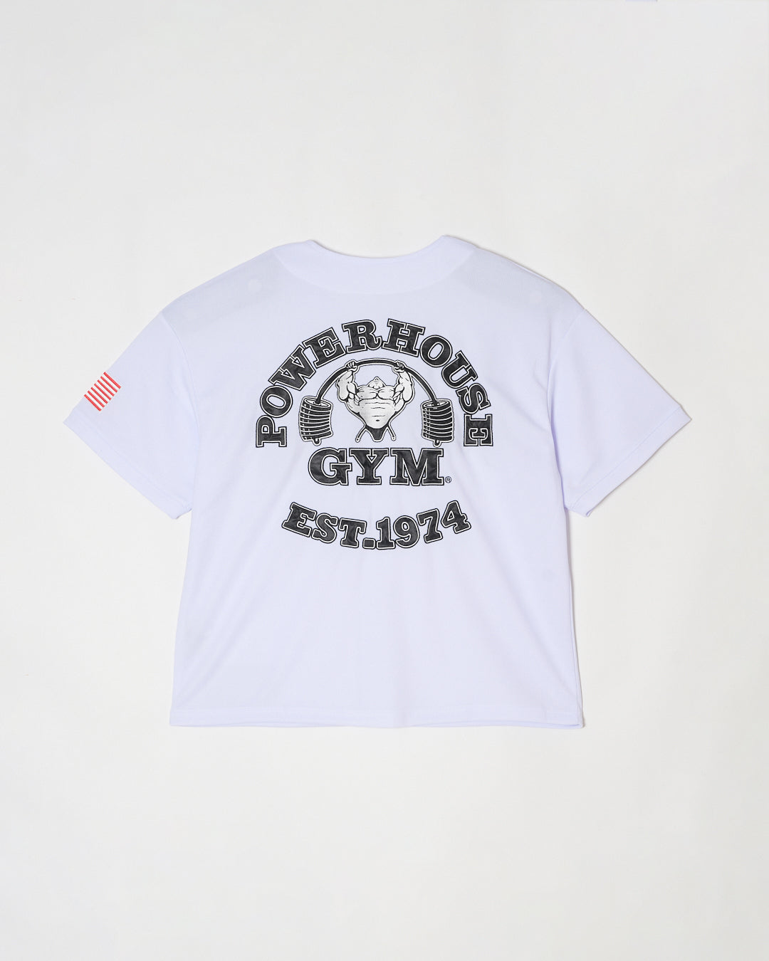 Gym Powerhouse - – T-Shirt | Shop V2 Mens Back Print T-shirt