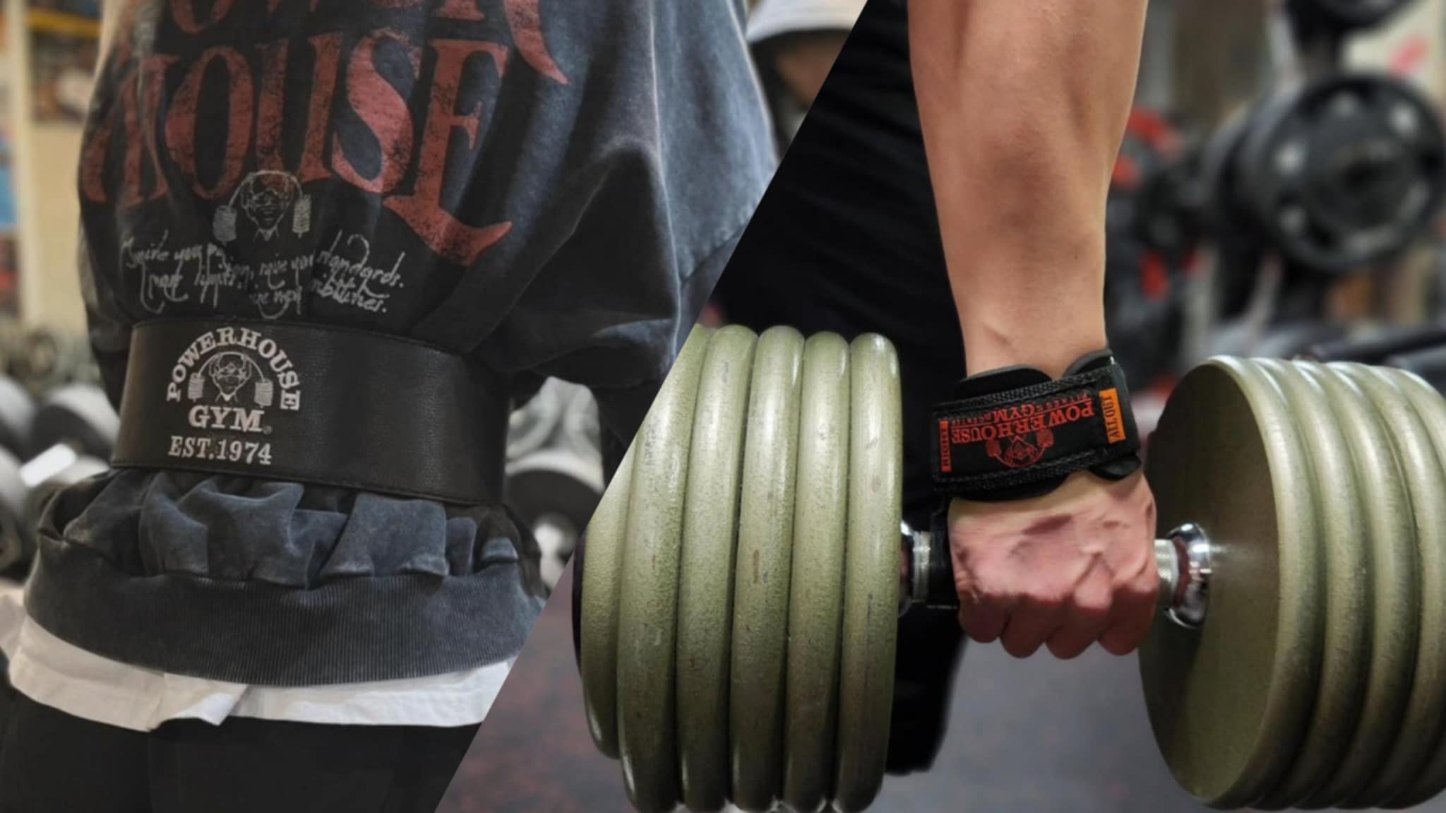 パワーハウスジム POWER HOUSE パワーベルト 筋トレ ウエイト パワーハウスジム LIFTING BELT – Powerhouse Gym Japan Online Shop