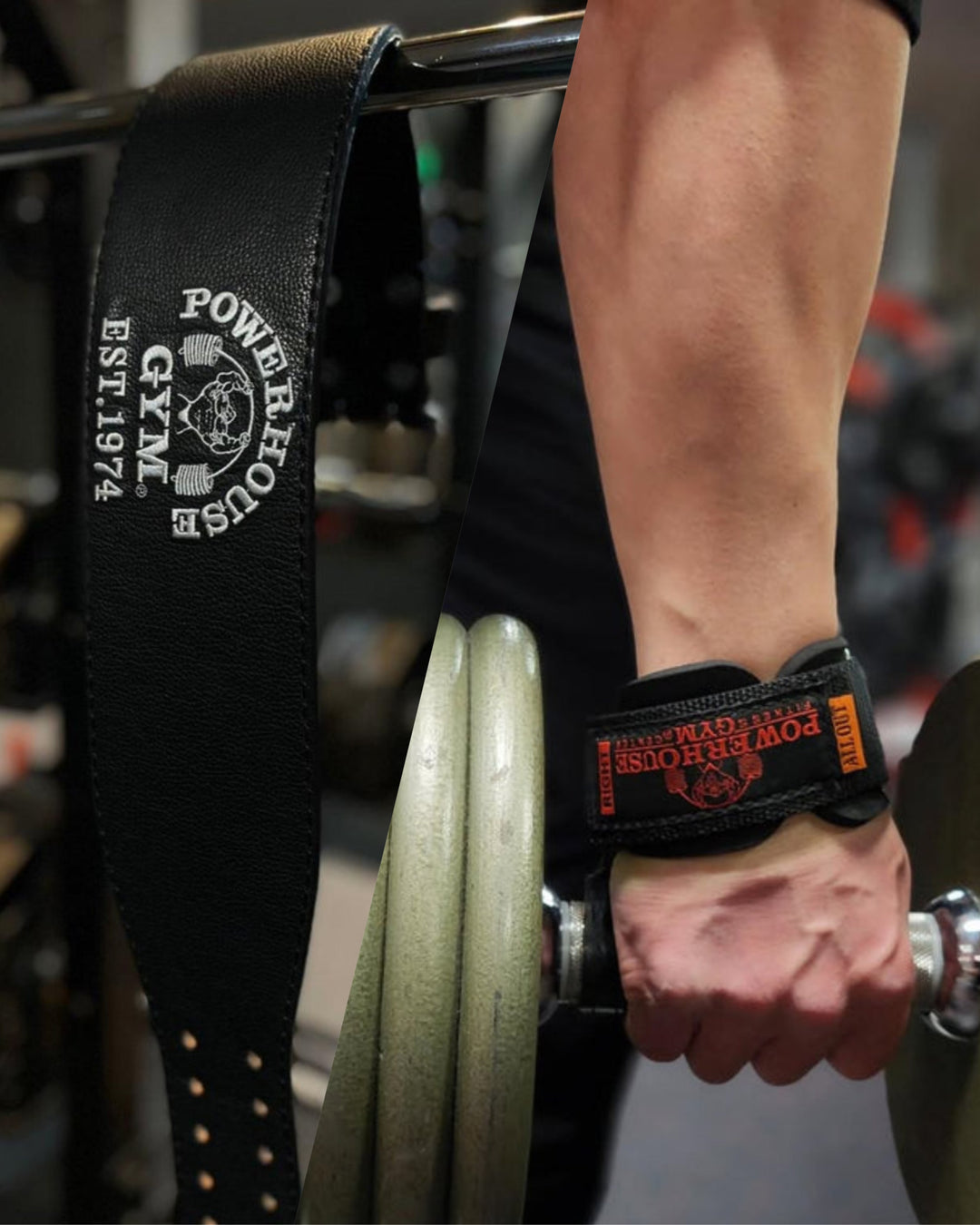 パワーハウスジム POWER HOUSE パワーベルト 筋トレ ウエイト パワーハウスジム LIFTING BELT – Powerhouse Gym Japan Online Shop
