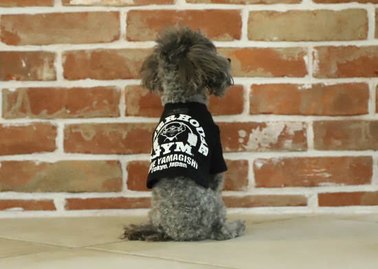 ドッグTシャツ『GG MADE IN TOKYO.』 x『POWERHOUSE GYM HIDE