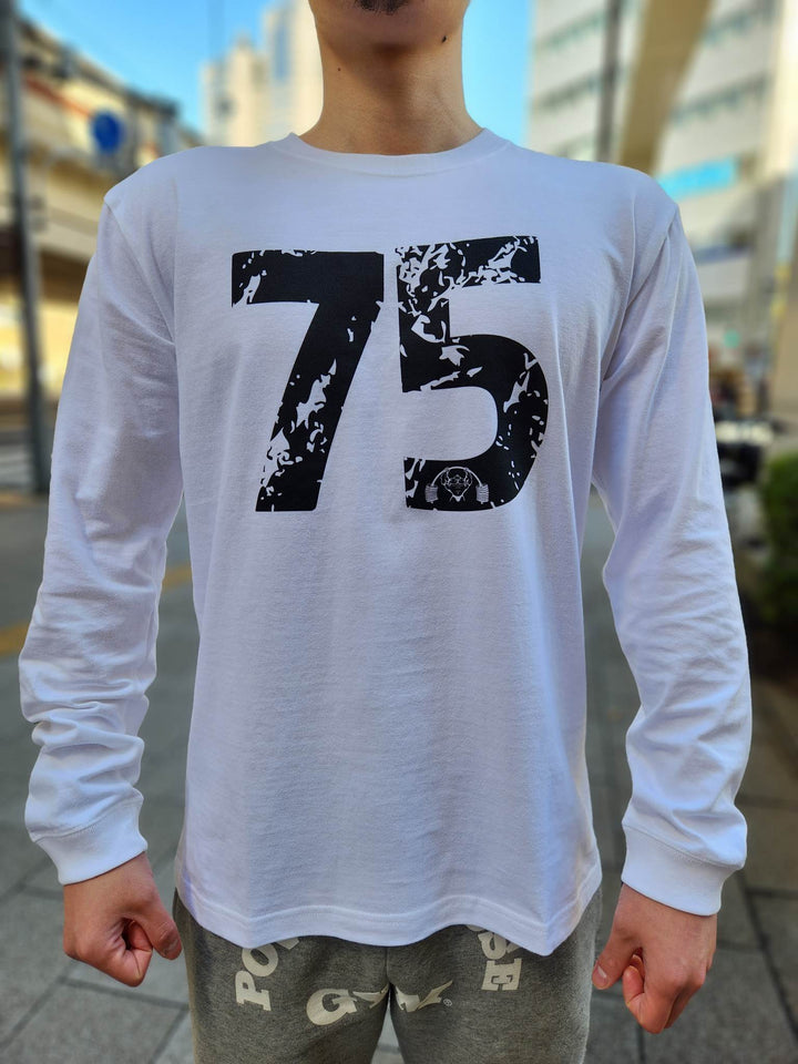 POWER-POLE ロングスリーブTシャツ ホワイト　日本未発売　パワーポール POWER TO THE PEOPLE tシャツ 「POWER PEOPLE」トラ刺繍ロング